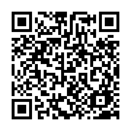 QR code for 293ZGG