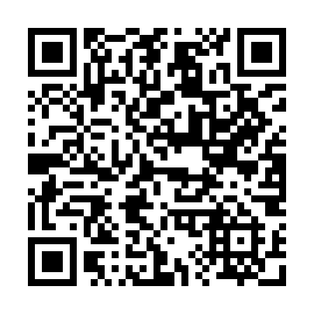 QR code for 294 IOI