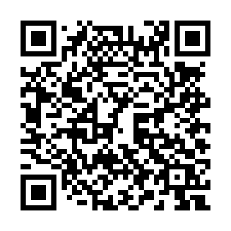 QR code for 294 LVR