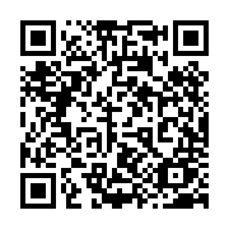 QR code for 294 PNU