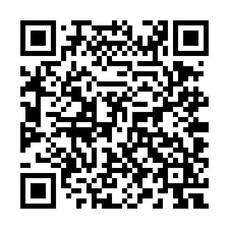 QR code for 294 THZ