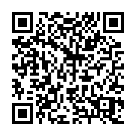QR code for 294BTP