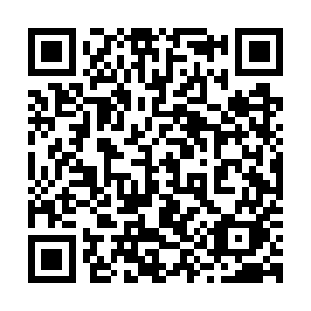 QR code for plate 294 GUK