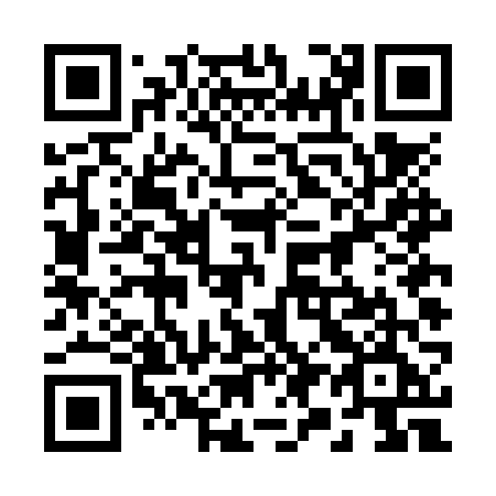 QR code for plate 294 NVE
