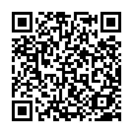 QR code for 294UMI