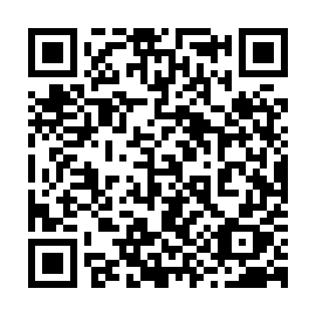 QR code for plate 294 XUX