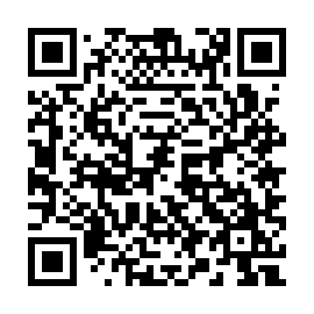 QR code for 295 1XO