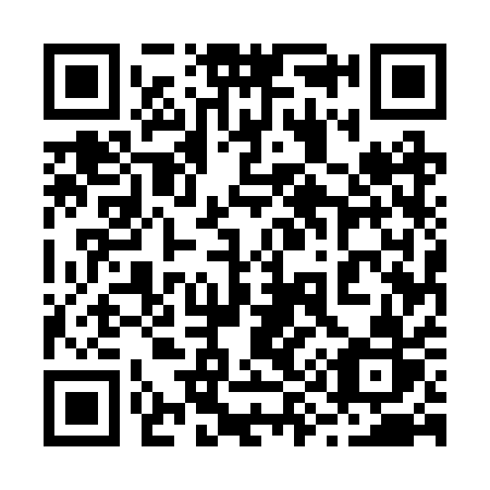 QR code for 295 2QR