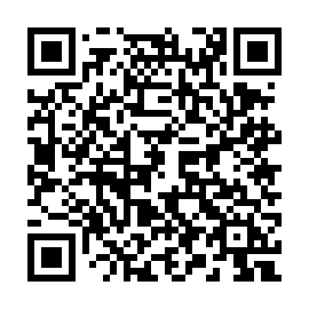 QR code for 295 4FH