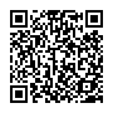 QR code for 295 4MI