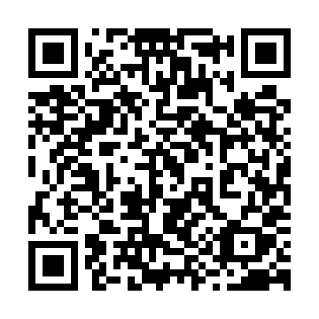 QR code for 295 5XY