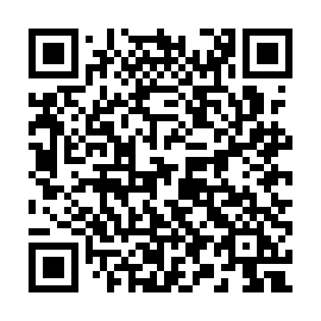 QR code for 295 ADI