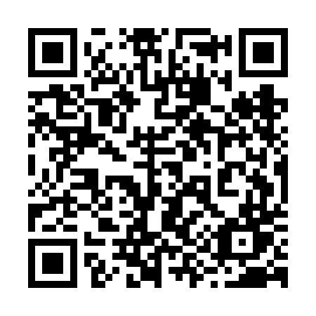 QR code for 295 FDT