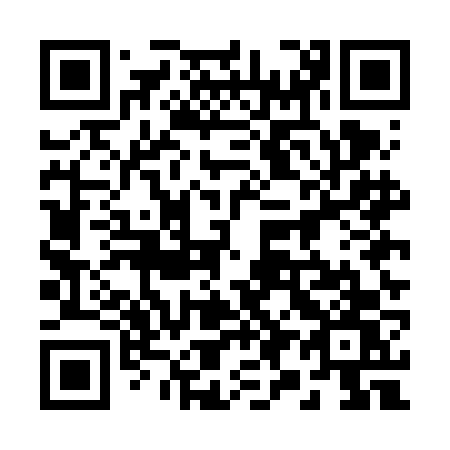 QR code for 295 FFW