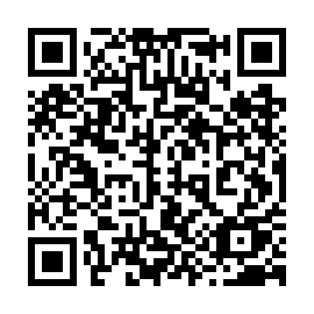 QR code for 295 GAU