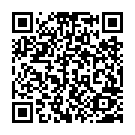 QR code for 295 GLZ