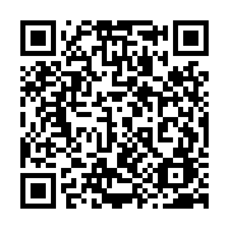 QR code for 295 LWB