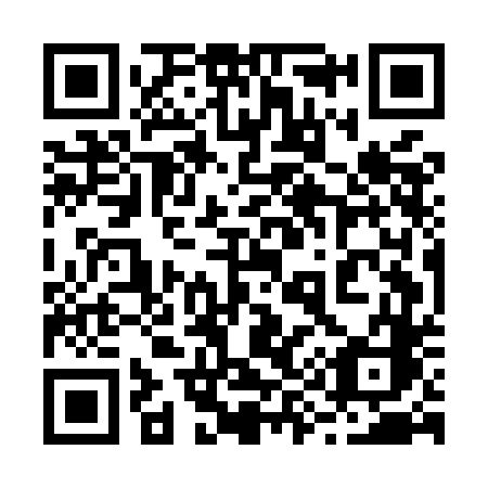 QR code for 295 MDC