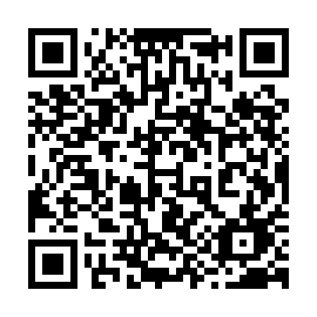 QR code for 295 QAD