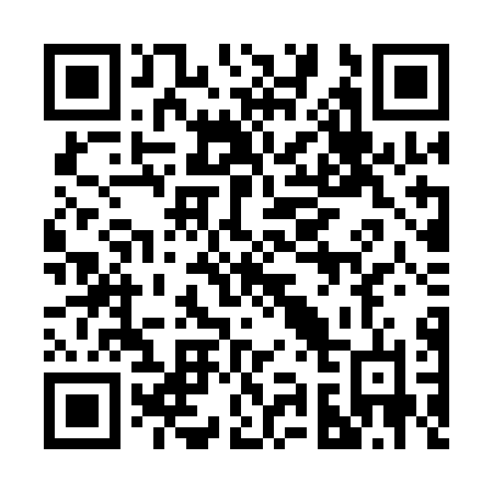 QR code for 295 QLN