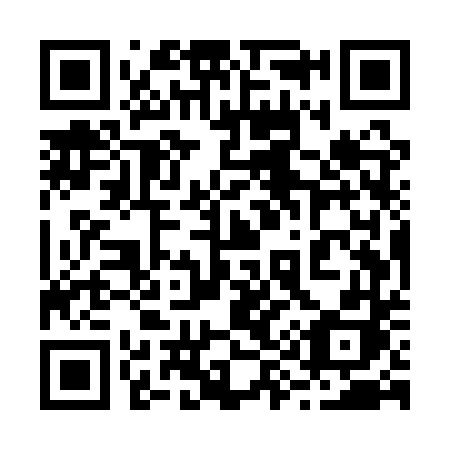 QR code for 295 QTH