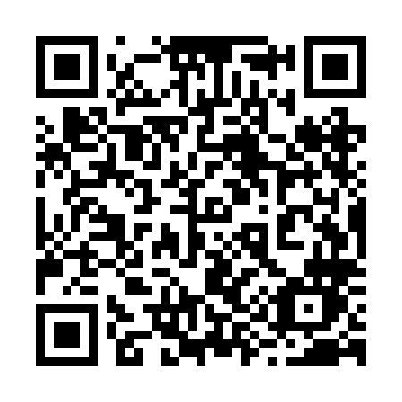 QR code for 295 RLN