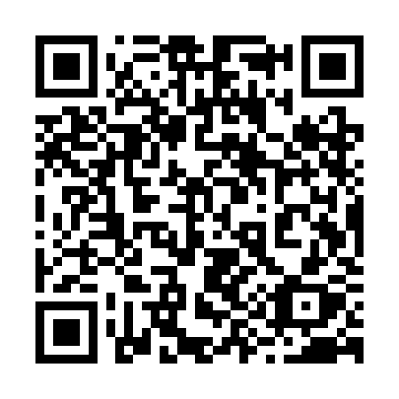 QR code for 295 SKX