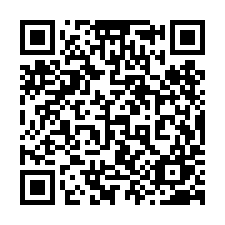 QR code for 295 TIW