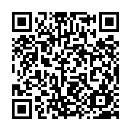 QR code for 295 UCN