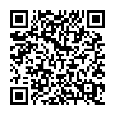 QR code for 295 ZDE