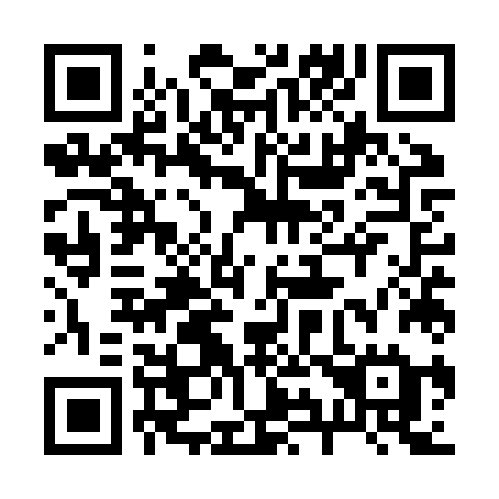 QR code for 295 ZZE
