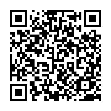 QR code for 2953FU
