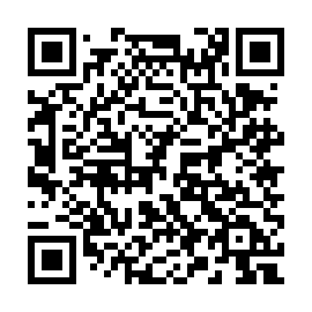 QR code for plate 295 4ED