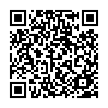 QR code for plate 295 4UD