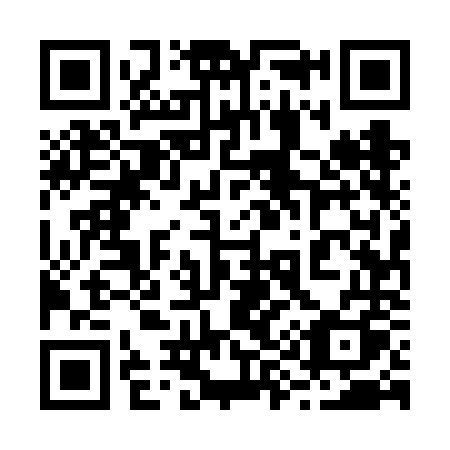 QR code for 2956NQ