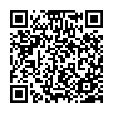 QR code for 2958DT