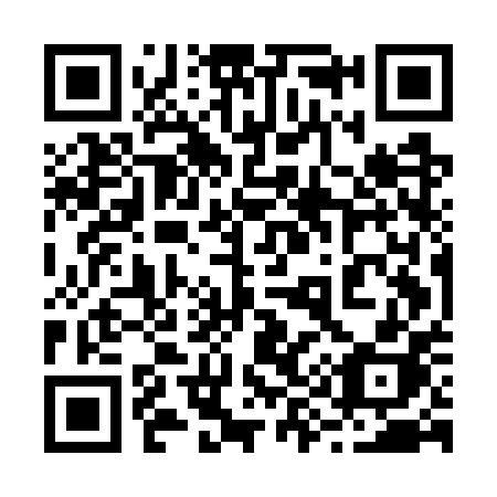 QR code for plate 295 GPH