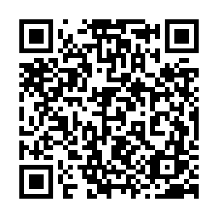 QR code for plate 295 JVS