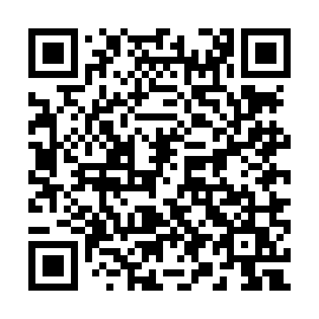 QR code for 295LMU