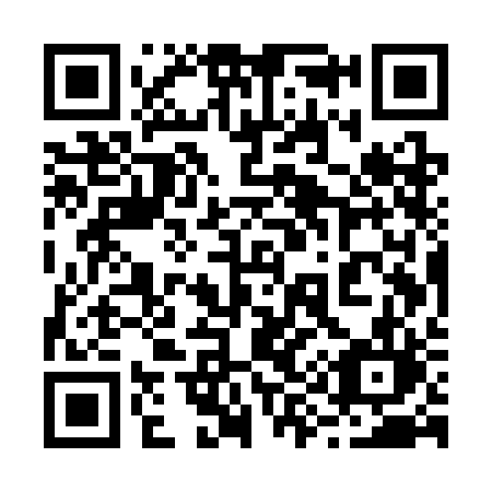 QR code for plate 295 SBL
