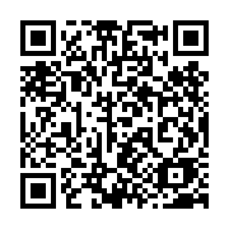 QR code for 295TCE