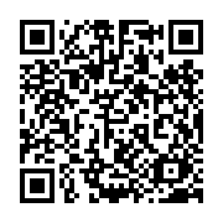 QR code for plate 295 TJM