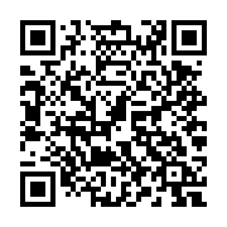 QR code for 296 DSC