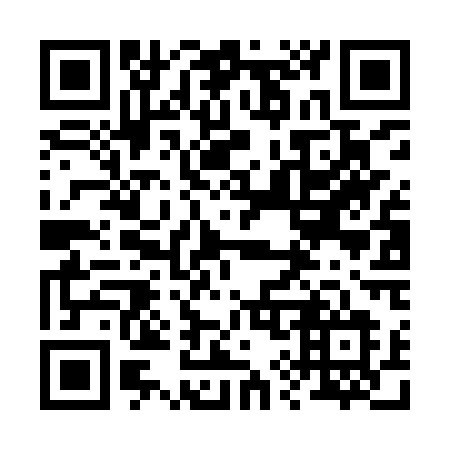 QR code for plate 296 IQL