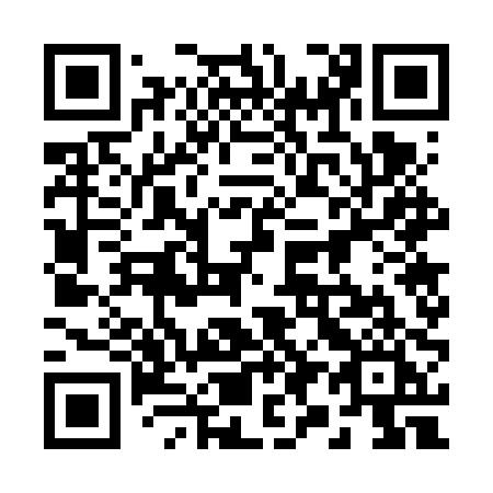QR code for 2976PI