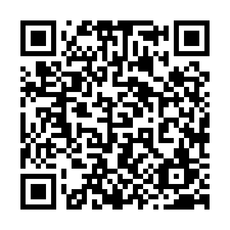 QR code for 2981SV