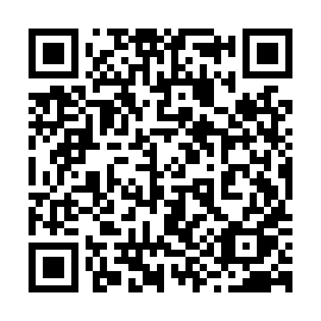 QR code for 299 LXQ
