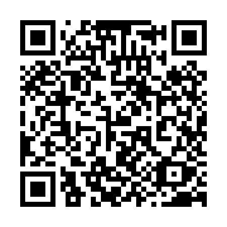 QR code for plate 299 0ZY