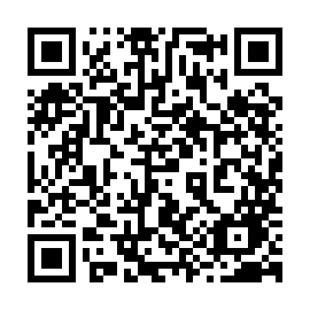 QR code for 2991MG