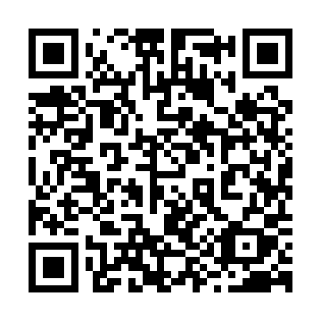 QR code for 2991PY